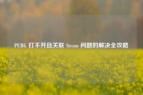 PUBG 打不开且关联 Steam 问题的解决全攻略