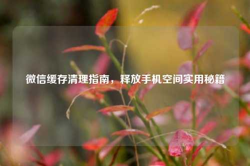 微信缓存清理指南,释放手机空间实用秘籍