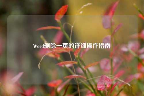 Word删除一页的详细操作指南
