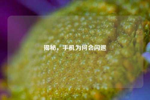 揭秘,手机为何会闪退