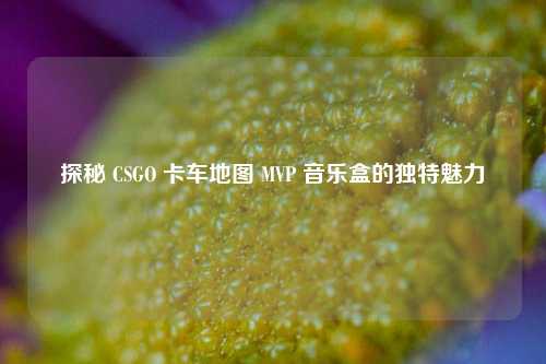 探秘 CSGO 卡车地图 MVP 音乐盒的独特魅力