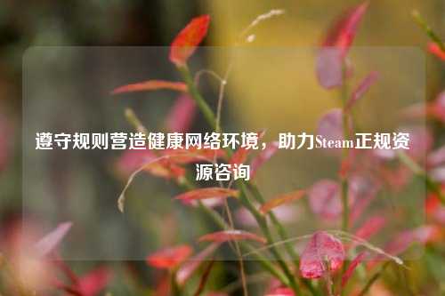遵守规则营造健康网络环境,助力Steam正规资源咨询