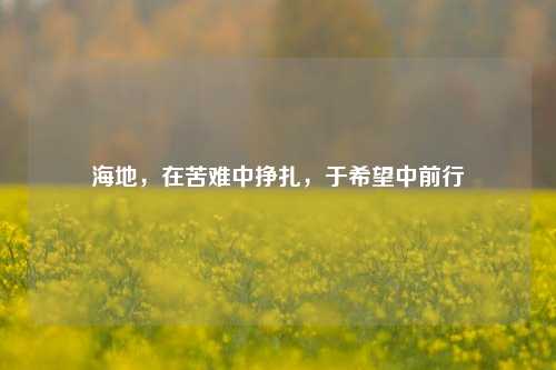 海地,在苦难中挣扎,于希望中前行