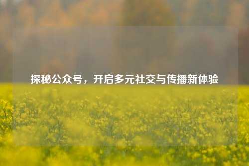 探秘公众号,开启多元社交与传播新体验