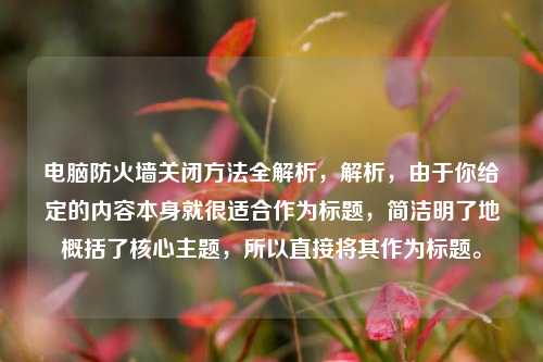 电脑防火墙关闭方法全解析,解析,由于你给定的内容本身就很适合作为标题,简洁明了地概括了核心主题,所以直接将其作为标题。