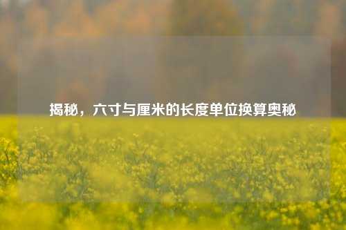 揭秘，六寸与厘米的长度单位换算奥秘