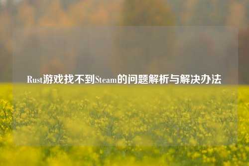Rust游戏找不到Steam的问题解析与解决办法