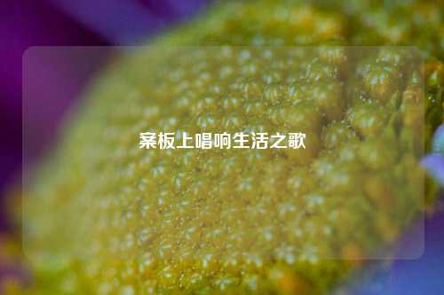 案板上唱响生活之歌