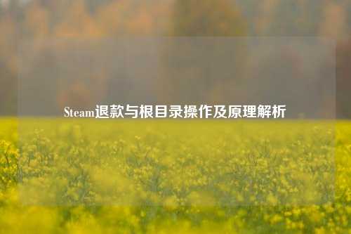 Steam退款与根目录操作及原理解析