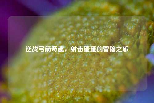 逆战弓箭奇趣,射击蛋蛋的冒险之旅