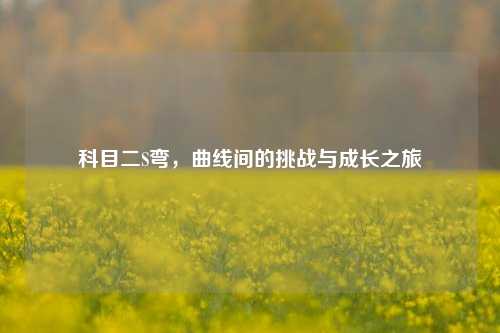 科目二S弯,曲线间的挑战与成长之旅