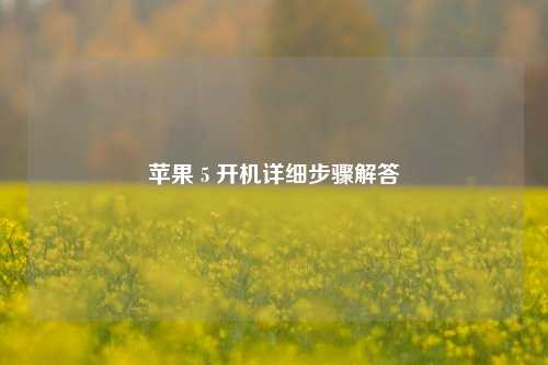 苹果 5 开机详细步骤解答