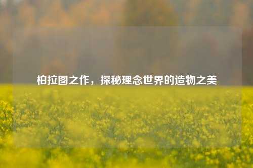 柏拉图之作,探秘理念世界的造物之美