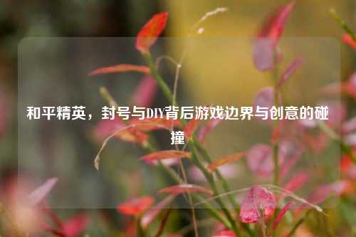 和平精英,封号与DIY背后游戏边界与创意的碰撞