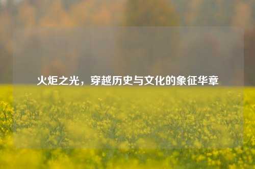 火炬之光,穿越历史与文化的象征华章