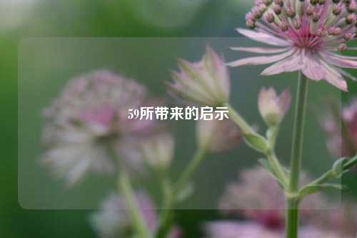 59所带来的启示