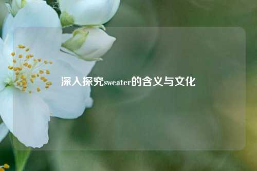 深入探究sweater的含义与文化