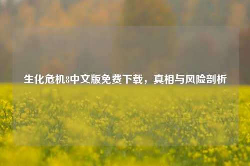 生化危机8中文版免费下载,真相与风险剖析