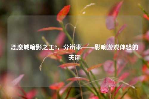 恶魔城暗影之王2,分辨率——影响游戏体验的关键