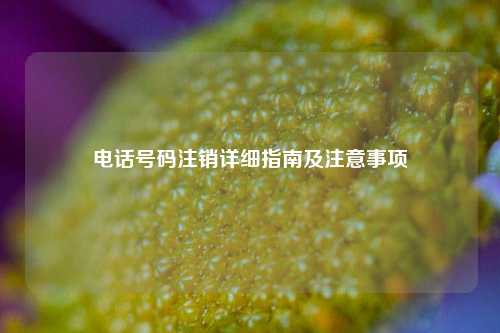电话号码注销详细指南及注意事项