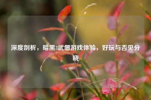 深度剖析,暗黑3武僧游戏体验,好玩与否见分晓