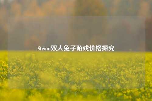 Steam双人兔子游戏价格探究