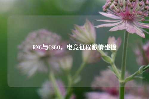RNG与CSGO,电竞征程激情碰撞