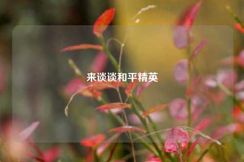 来谈谈和平精英