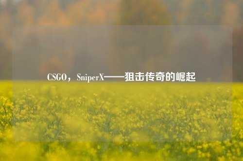CSGO,SniperX——狙击传奇的崛起