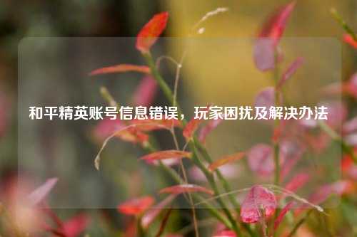 和平精英账号信息错误,玩家困扰及解决办法