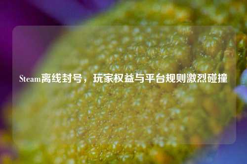 Steam离线封号,玩家权益与平台规则激烈碰撞