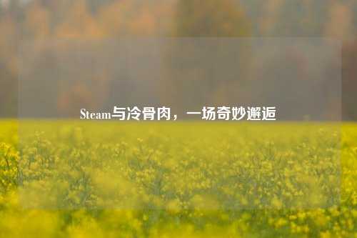 Steam与冷骨肉,一场奇妙邂逅
