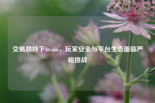 交易劫持下Steam,玩家安全与平台生态面临严峻挑战