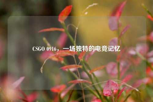 CSGO 0916,一场独特的电竞记忆