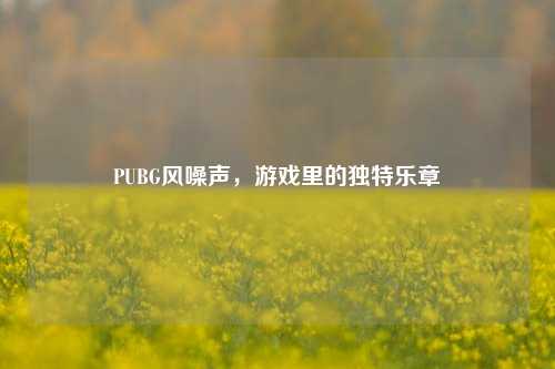 PUBG风噪声,游戏里的独特乐章