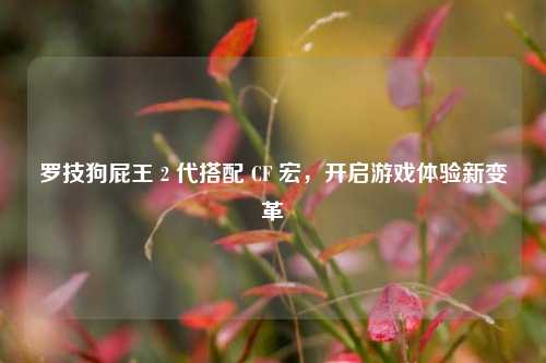 罗技狗屁王 2 代搭配 CF 宏,开启游戏体验新变革