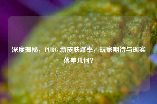 深度揭秘,PUBG 新皮肤爆率,玩家期待与现实落差几何?