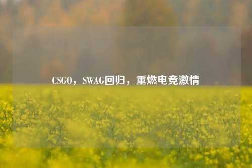 CSGO,SWAG回归,重燃电竞激情