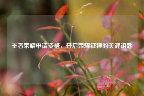 王者荣耀申请资格,开启荣耀征程的关键钥匙