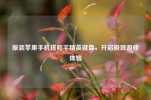 原装苹果手机搭和平精英键盘,开启极致游戏体验