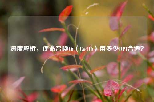 深度解析,使命召唤16(Cod16)用多少DPI合适?
