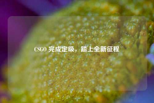 CSGO 完成定级,踏上全新征程