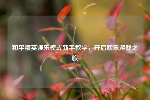 和平精英娱乐模式新手教学,开启欢乐游戏之旅