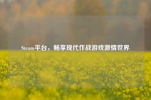Steam平台,畅享现代作战游戏激情世界
