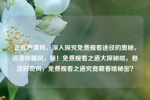 正式严肃风,深入探究免费观看途径的奥秘,活泼吸睛风,哇!免费观看之道大探秘啦,悬念好奇风,免费观看之道究竟藏着啥秘密?