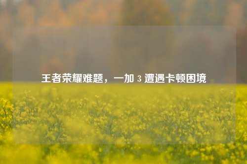 王者荣耀难题,一加 3 遭遇卡顿困境