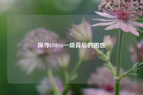 探寻COD16一级背后的困惑