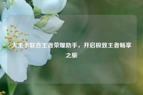 大王卡联合王者荣耀助手,开启极致王者畅享之旅