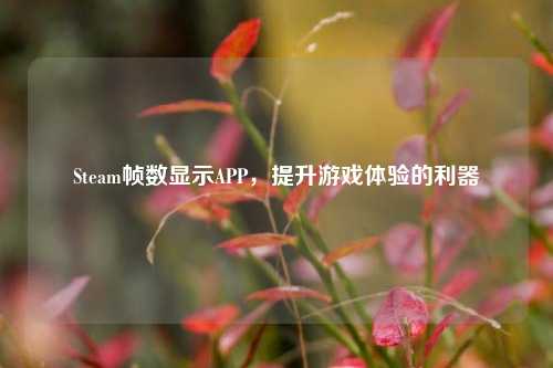 Steam帧数显示APP,提升游戏体验的利器
