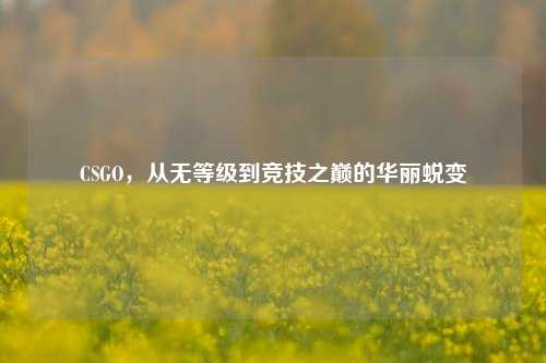 CSGO,从无等级到竞技之巅的华丽蜕变